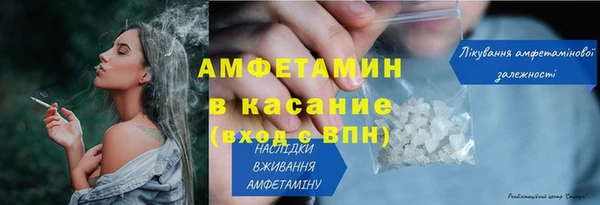 ГАЛЛЮЦИНОГЕННЫЕ ГРИБЫ Бородино