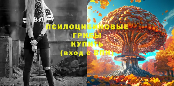 таблы Богородск
