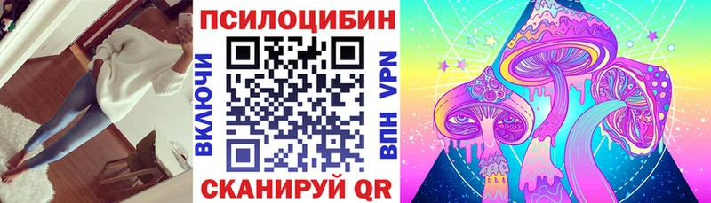 Псилоцибиновые грибы Psilocybe  где продают наркотики  Демидов 