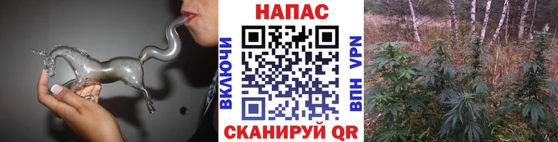 Конопля план  Демидов 